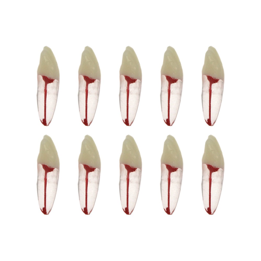 10 Pcs Dental Autoclavable Endo Root Canal Teeth Model Study Practice Typodont