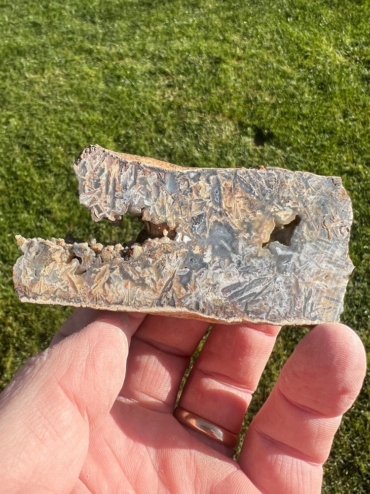 Graveyard Point Pseudomorph Stick Agate Rough Faced Specimen 94gm (A19)