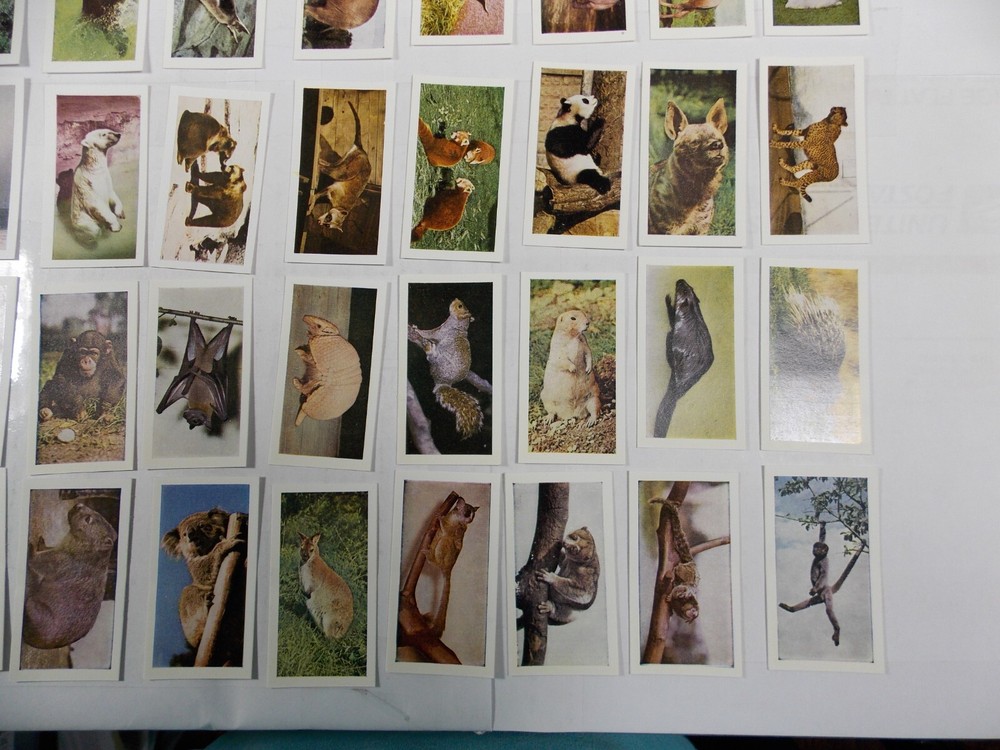Hornimans Tea Cards Wild Animals Complete Set 48