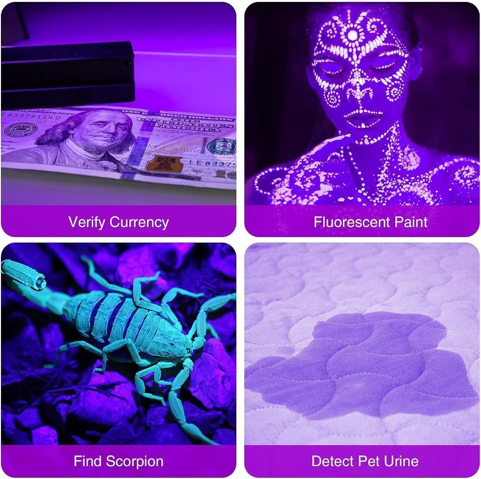 COSOOS 2 Pack UV Flashlight, 12 LED Handheld Blacklight 2 Pack, Black