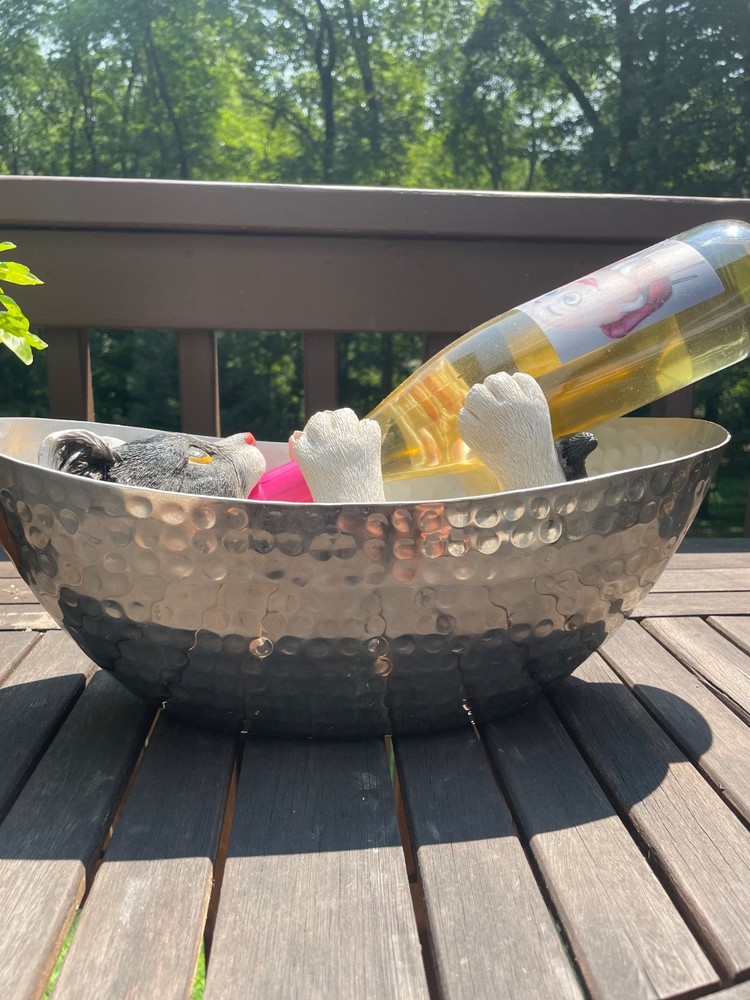 Cat Relaxing in Tub with wine
