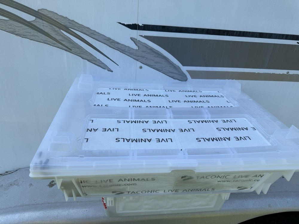Lab Animal Shipping Box