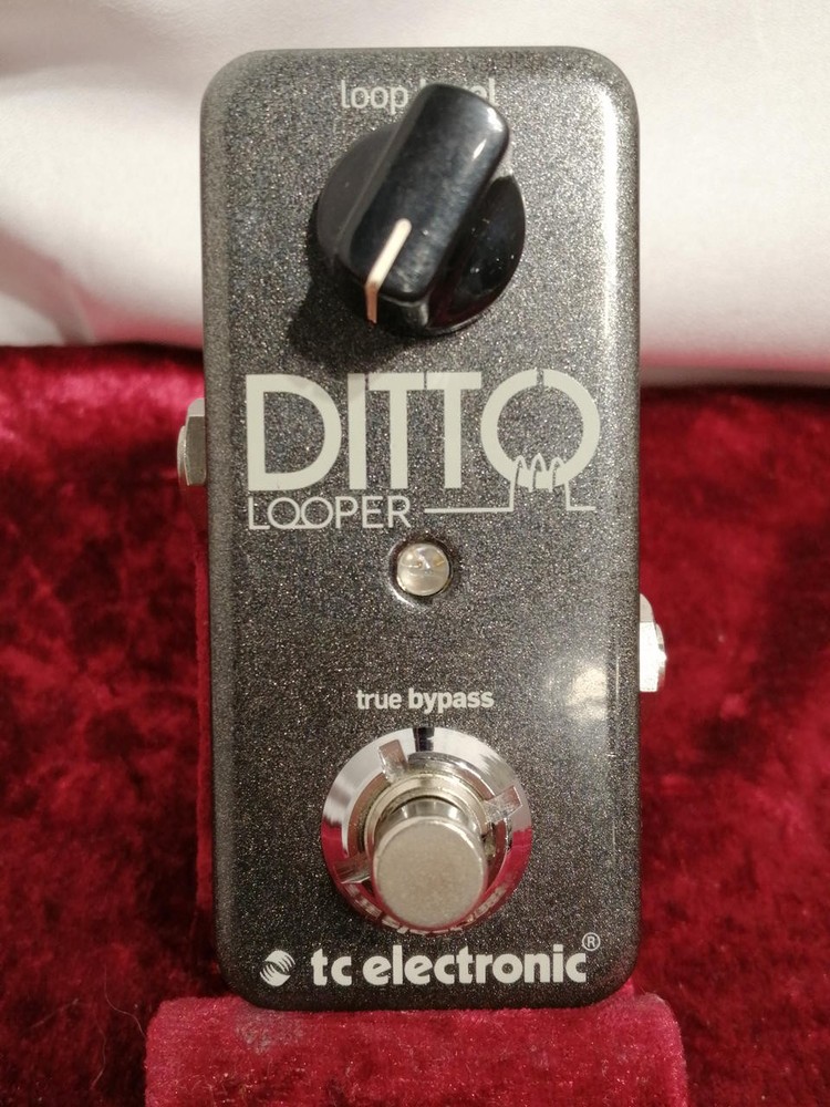 TC Electronics Ditto Looper Guitar Pedal Compact True Bypass Authentic