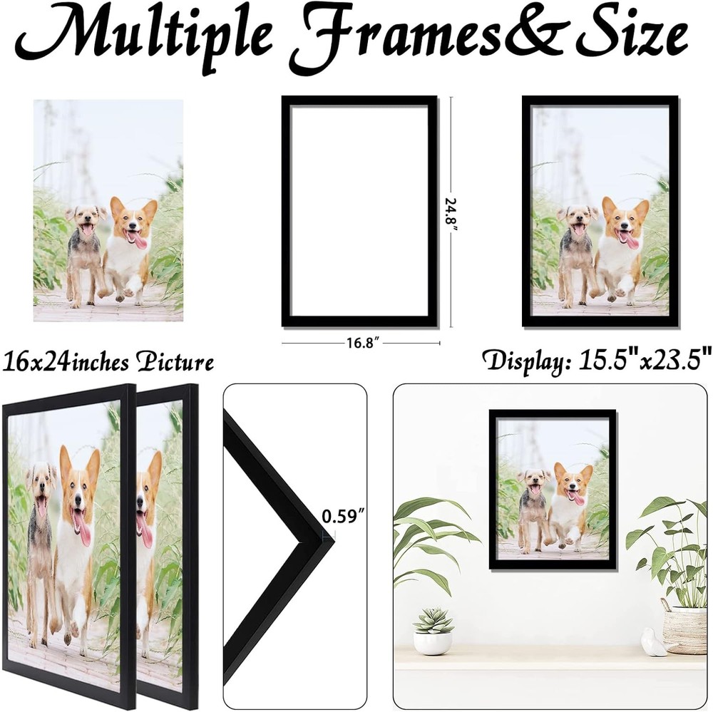 Picture Frame Set (2-Pack), Black Frames Dimensions: 16 x 24 inches