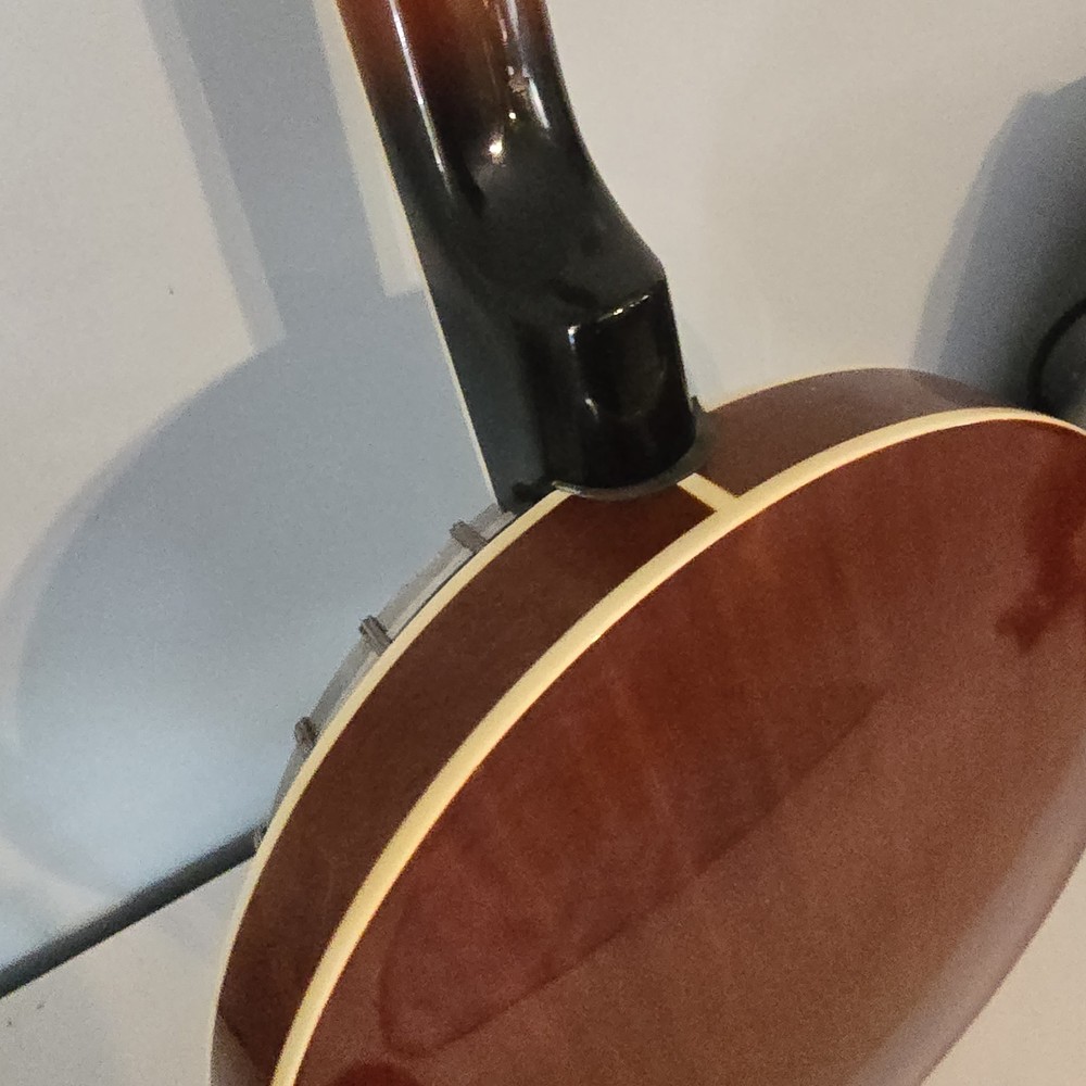 Davidson Banjo 4 String