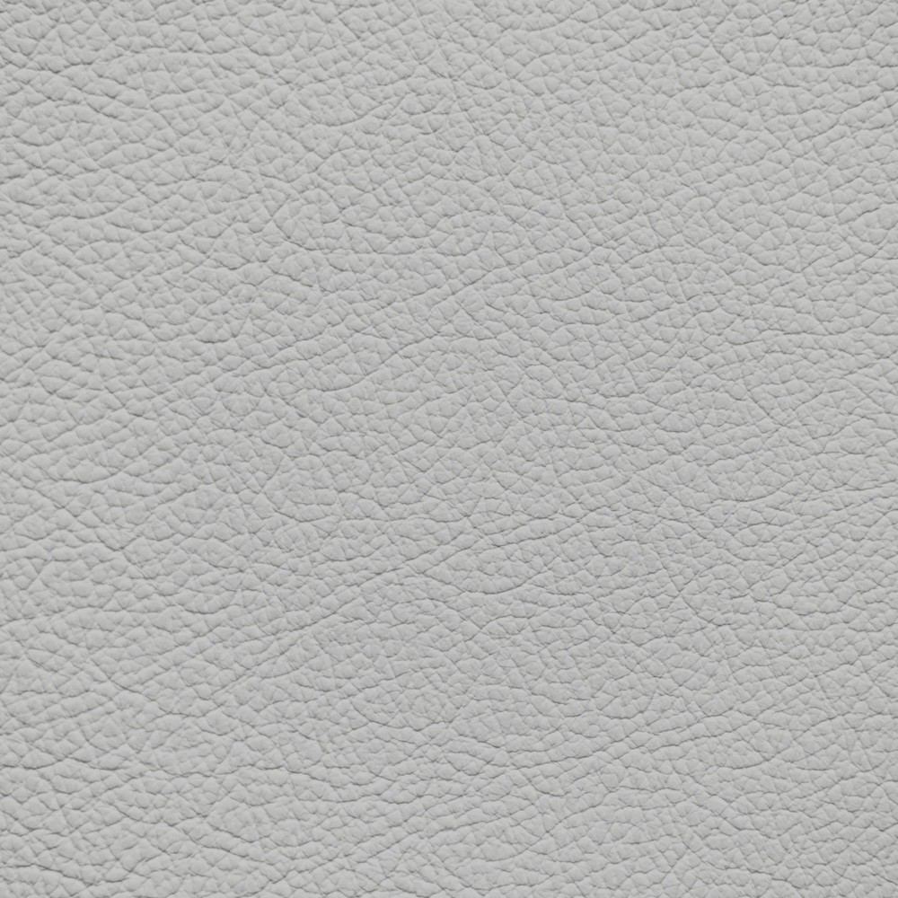 BMW Silverstone (2017 & Before) Leather Dye
