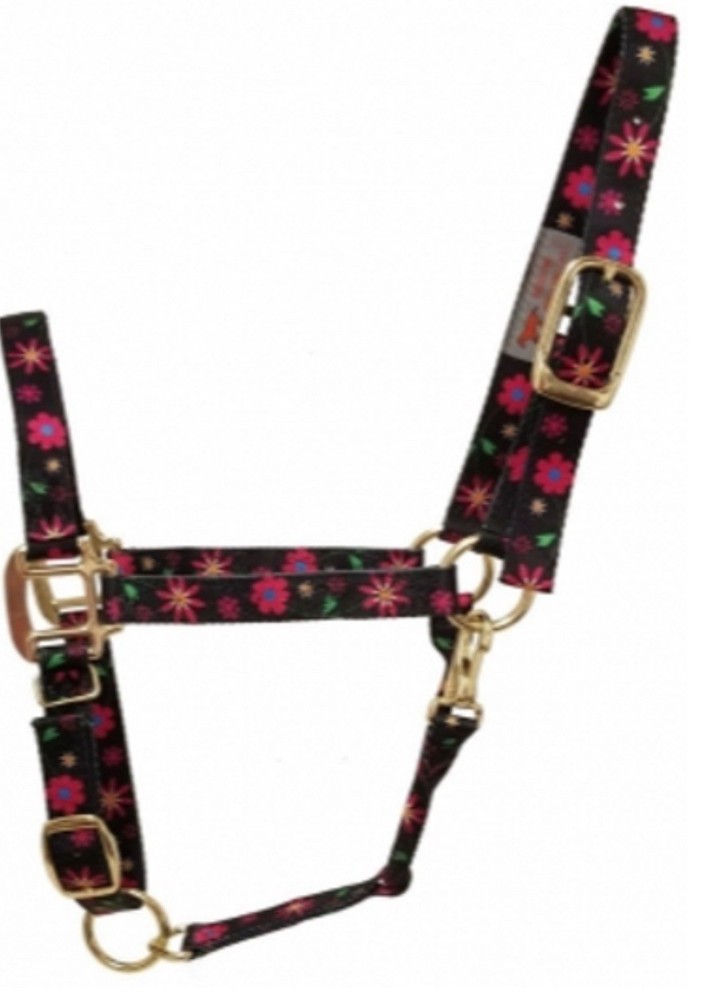 DuMor Adjustable Nylon Horse Reins Size Medium Solid Brass Hardware Durable