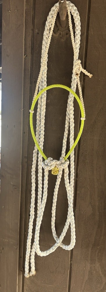 Loping Hackamore