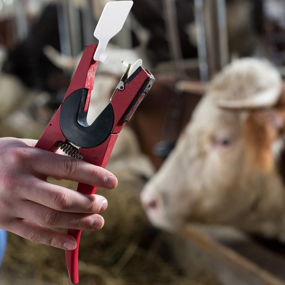 Ear Tags Large Plastic Blank Animal Identification 100 Pcs White