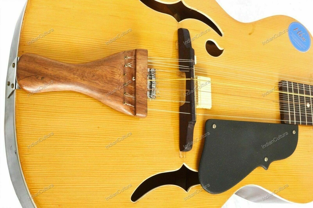 CUSTOM MOHAN VEENA GREAT SIDE WEISSENBORN STYLE MAX STRING PRESSURE