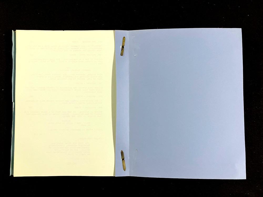 DAMIEN OMEN 2 Original Movie Script 1977 Satanic Horror Screenplay Final Draft