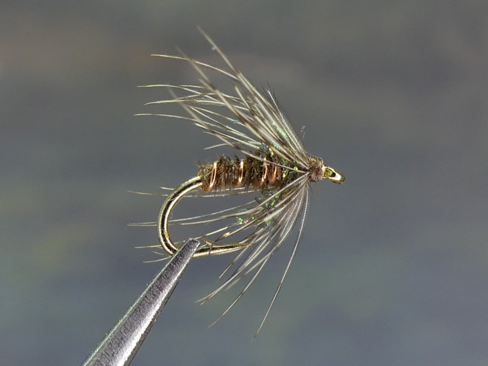 6 Flies -Pheasant Tail Soft Hackle Midge