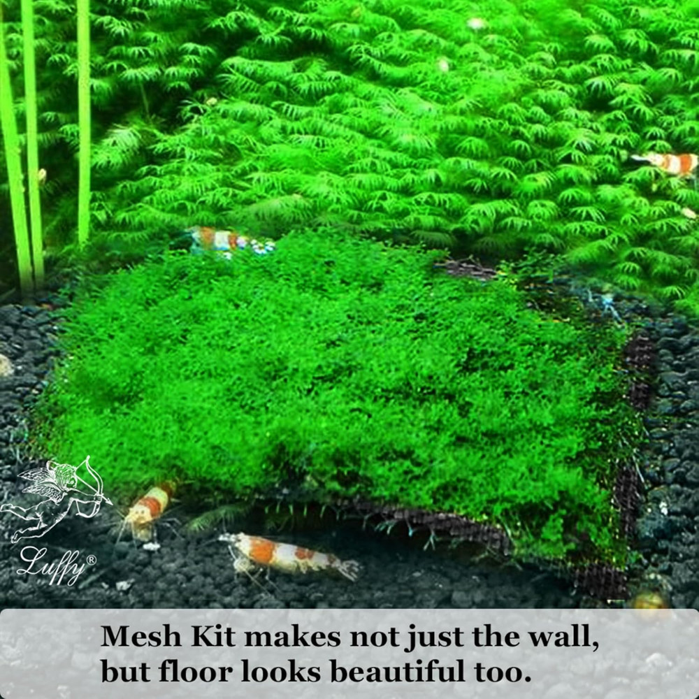 Decorative Wall or Floor Mesh Kit, 2 Pieces