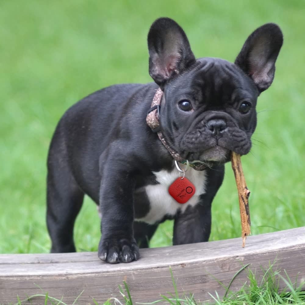 iOS & Android Compatible Bluetooth Tracker - Two-Way Separation Alerts Included