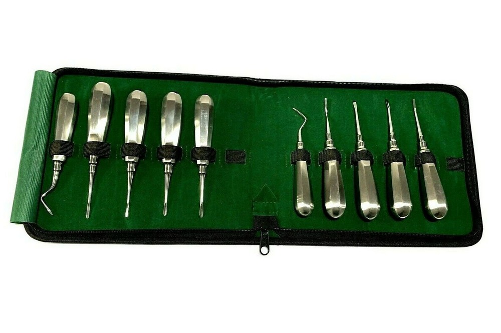 10Pcs Straight CVD Non-Magnet Handle French Points Elevators – Surgical Tools