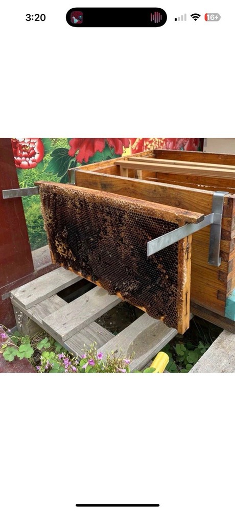 Bee Hive Durable Perch Frame Holder Beekeeping Tools 2pc USA Company CheckUsOut!
