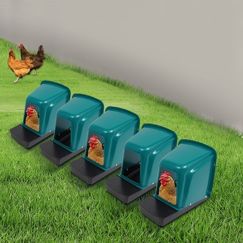 5-Pack Chicken Nesting Boxes for Comfortable Egg Laying and Easy Collection