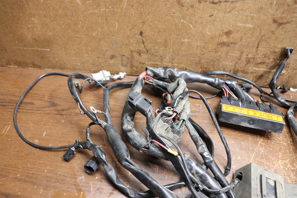 1997 Harley Electra Glide Touring Main Engine Wire Harness