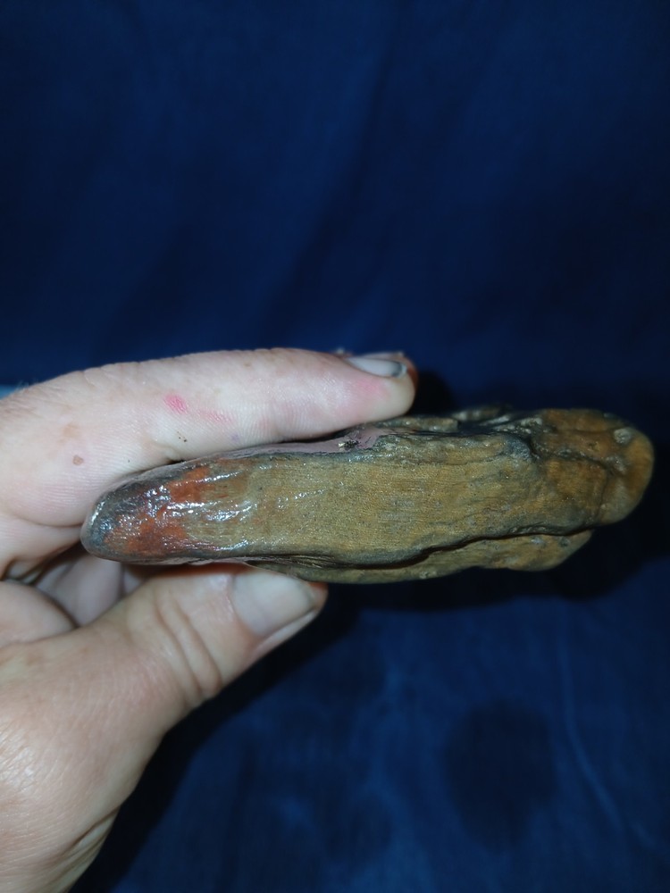 10 oz Texas Petrified Wood