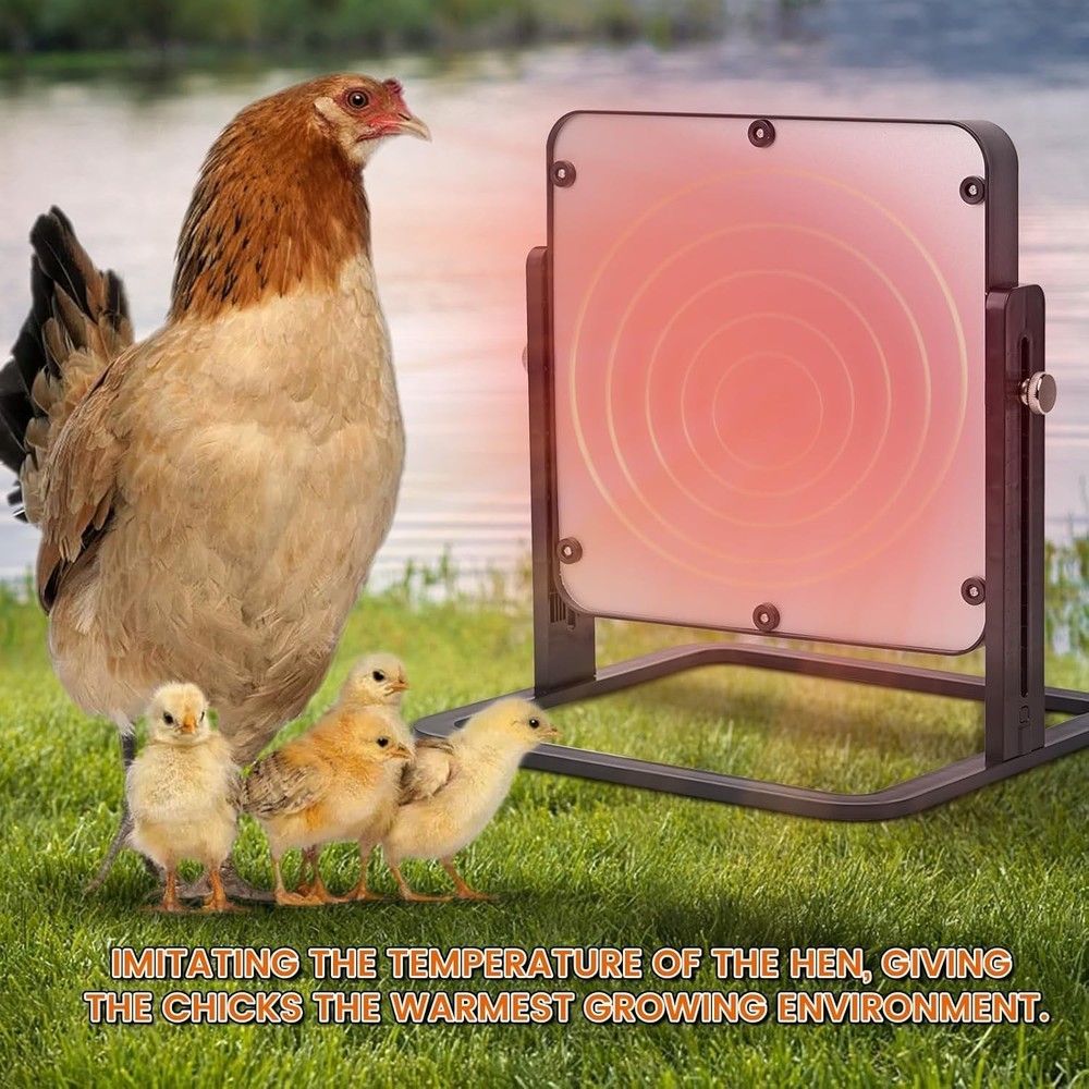 Chick Brooder Heater Plate, 10"x10" Brooder Plate for Chicks with Adjustable