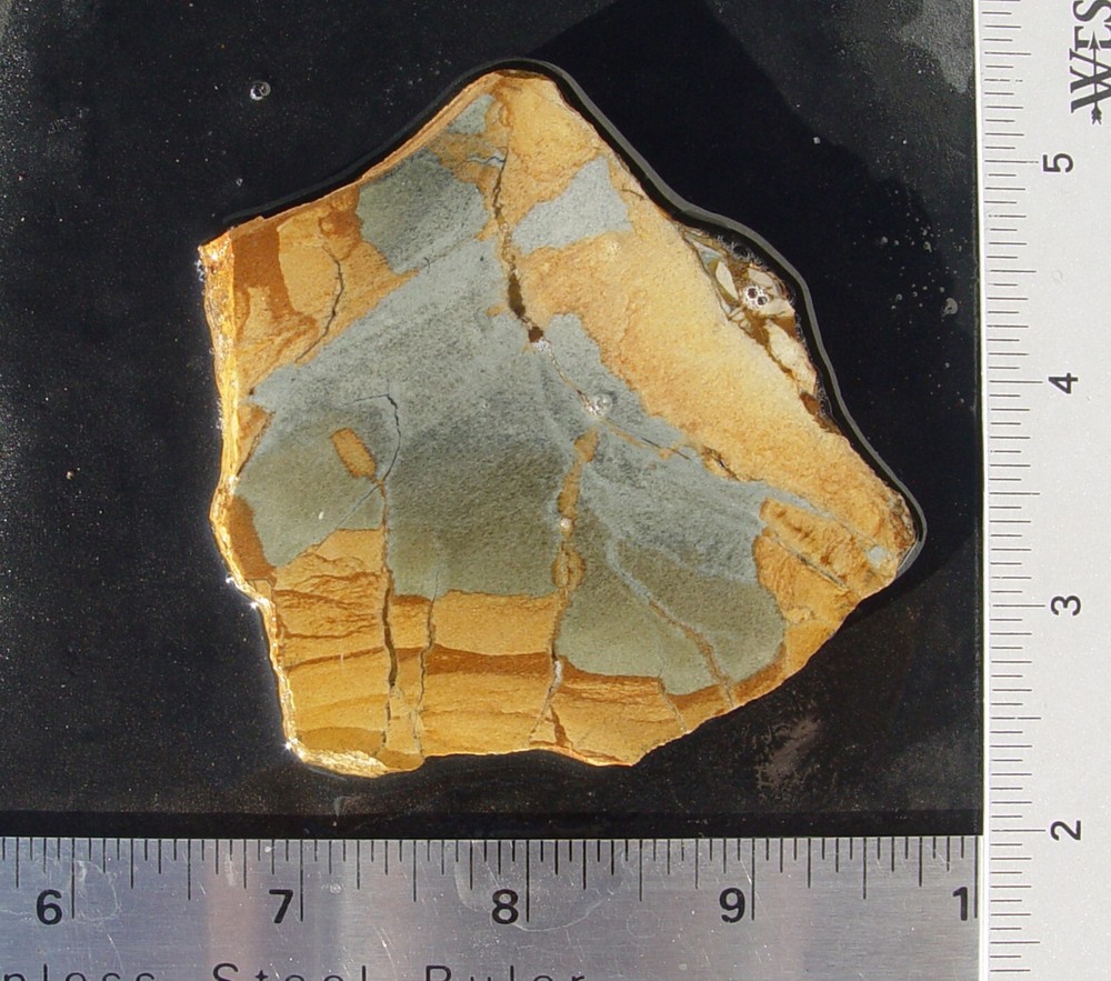 Owyhee Picture Jasper Lapidary Slab 1430