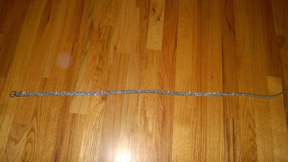 Female  "SPARKY SILVER" Belt