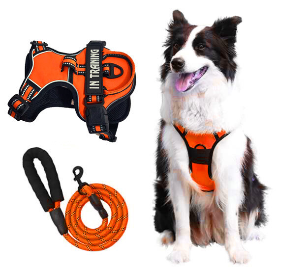 No-Pull Dog Pet Harness + Leash Reflective Control Adjustable Collar Handle