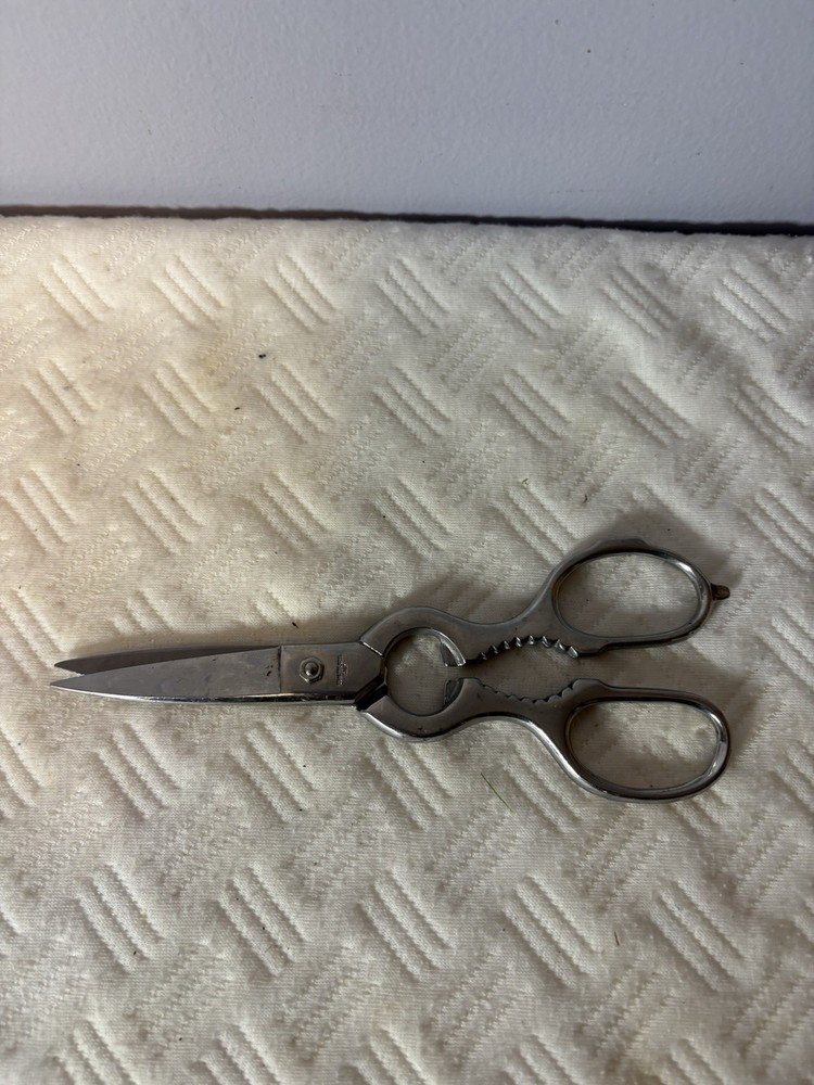 Brushed Stainless Kitchen Shears Pull Apart Made In Italy