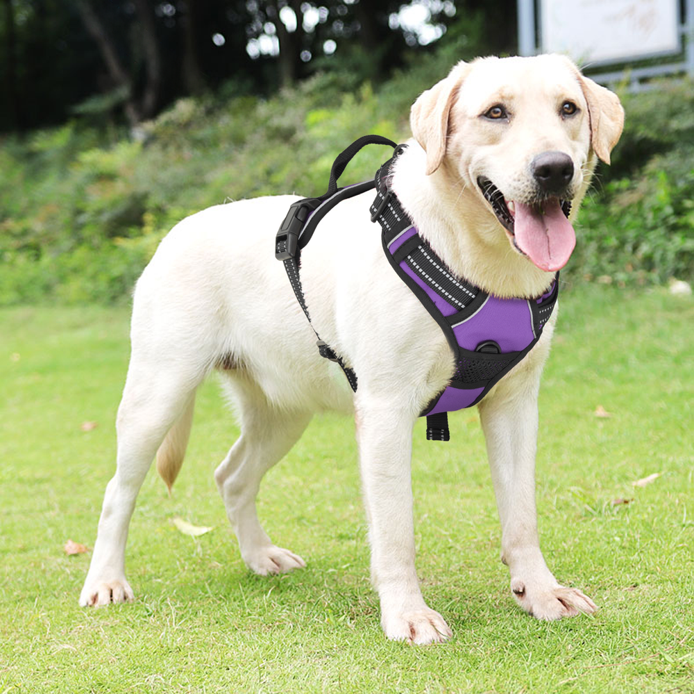 Reflective Adjustable No Pull Pet Harness Handle Easy Control Purple Puppy Vest