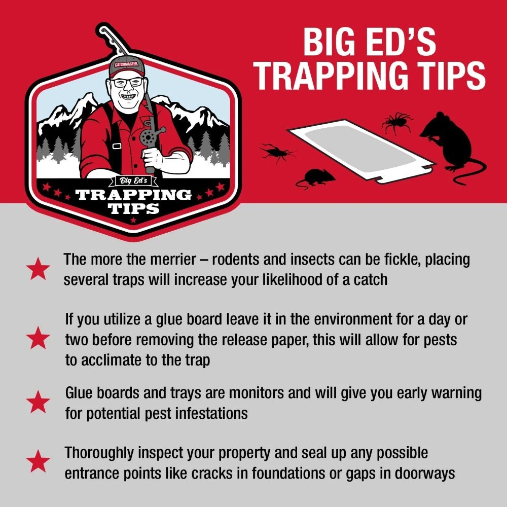 Home (2 pack) Catchmaster Reusable Solid Pro Series Multi-Catch Mouse Trap