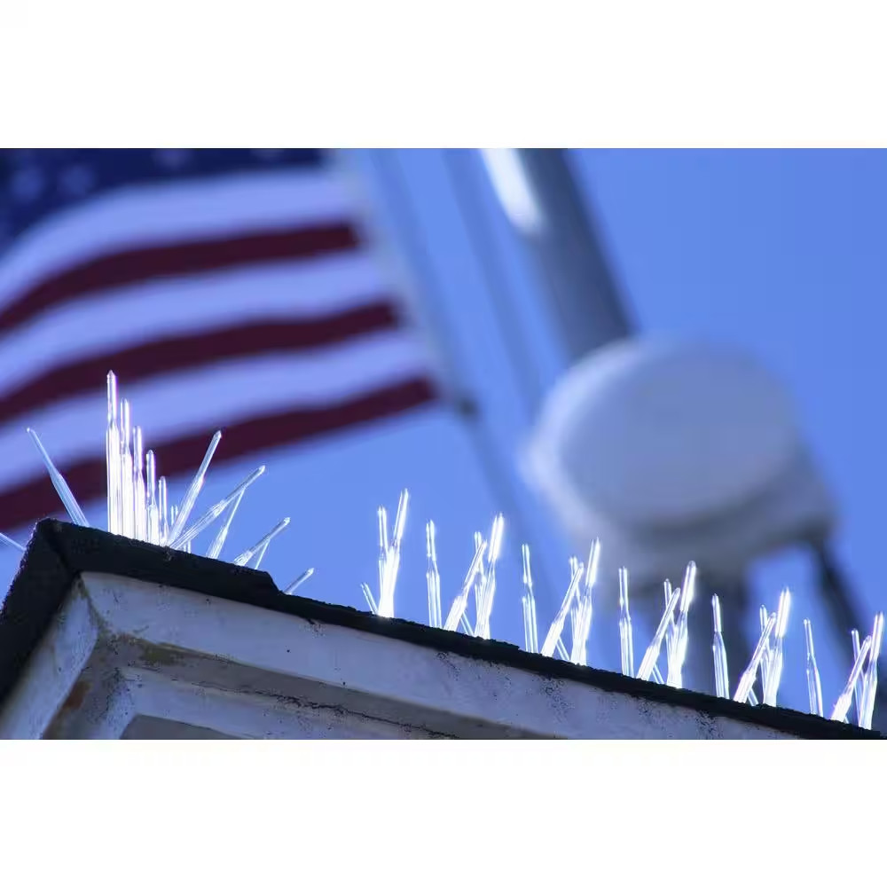 Clear Plastic Bird Spike - 10 Ft. X 7 In.