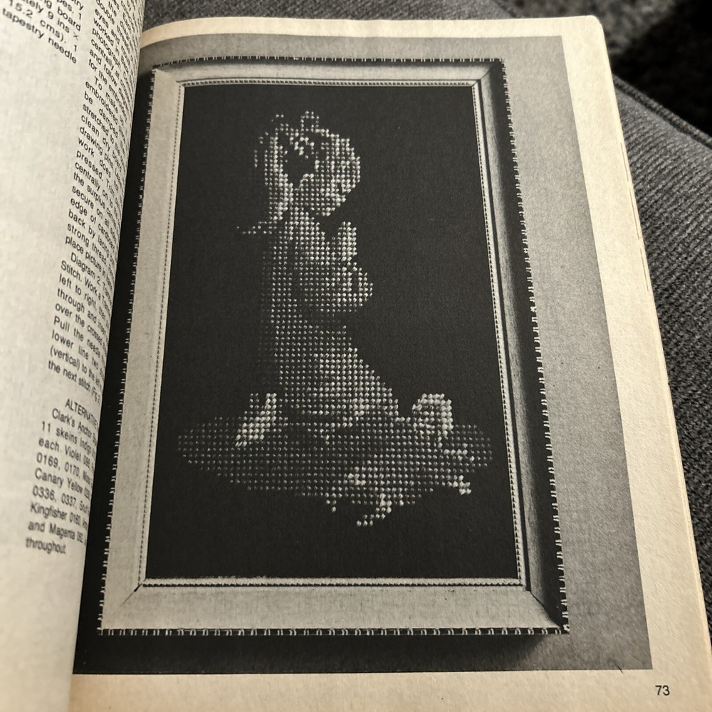 Vintage 1978 Needlepoint Pattern/instructional Book
