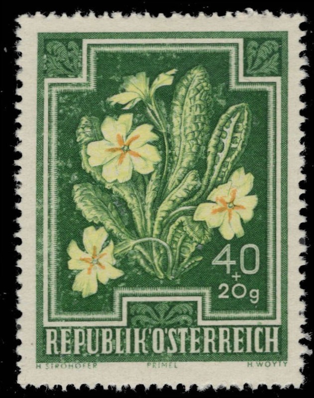 AUSTRIA B238 - Primrose "Primula vulgaris" (pc41660)