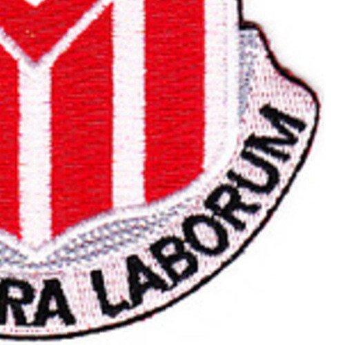 554th Engineer Battalion Patch