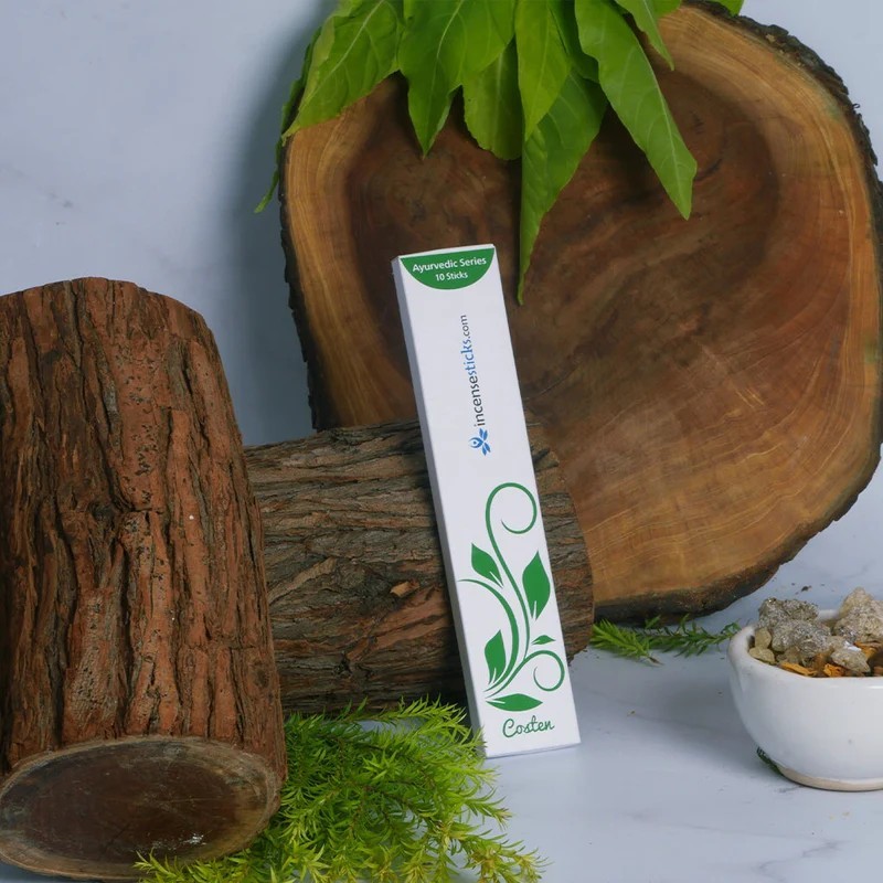 Costen Incense 8" 10 Sticks Packs: 1 Pack