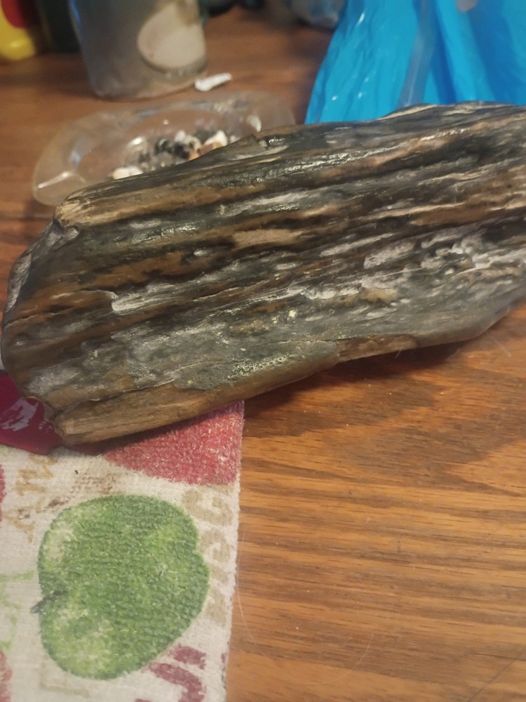 Petrafied Wood