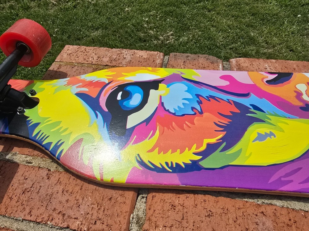 Bocin 41" Freeride Longboard Skateboard