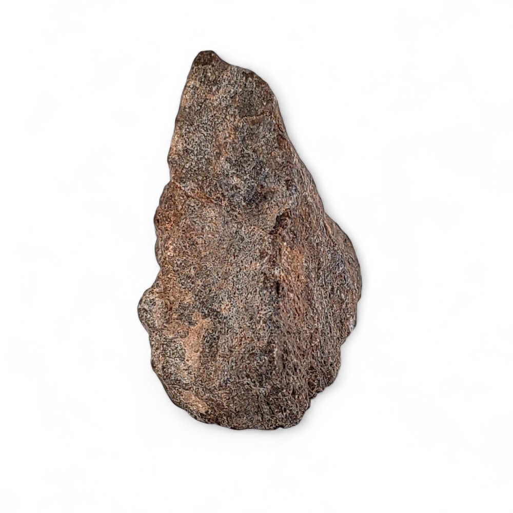 Jurassic Dinosaur Fossil Bone from Morrison Formation Includes Display