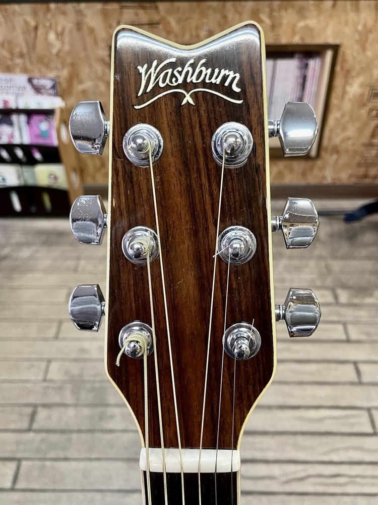 Washburn Ea-20 Safe delivery from Japan