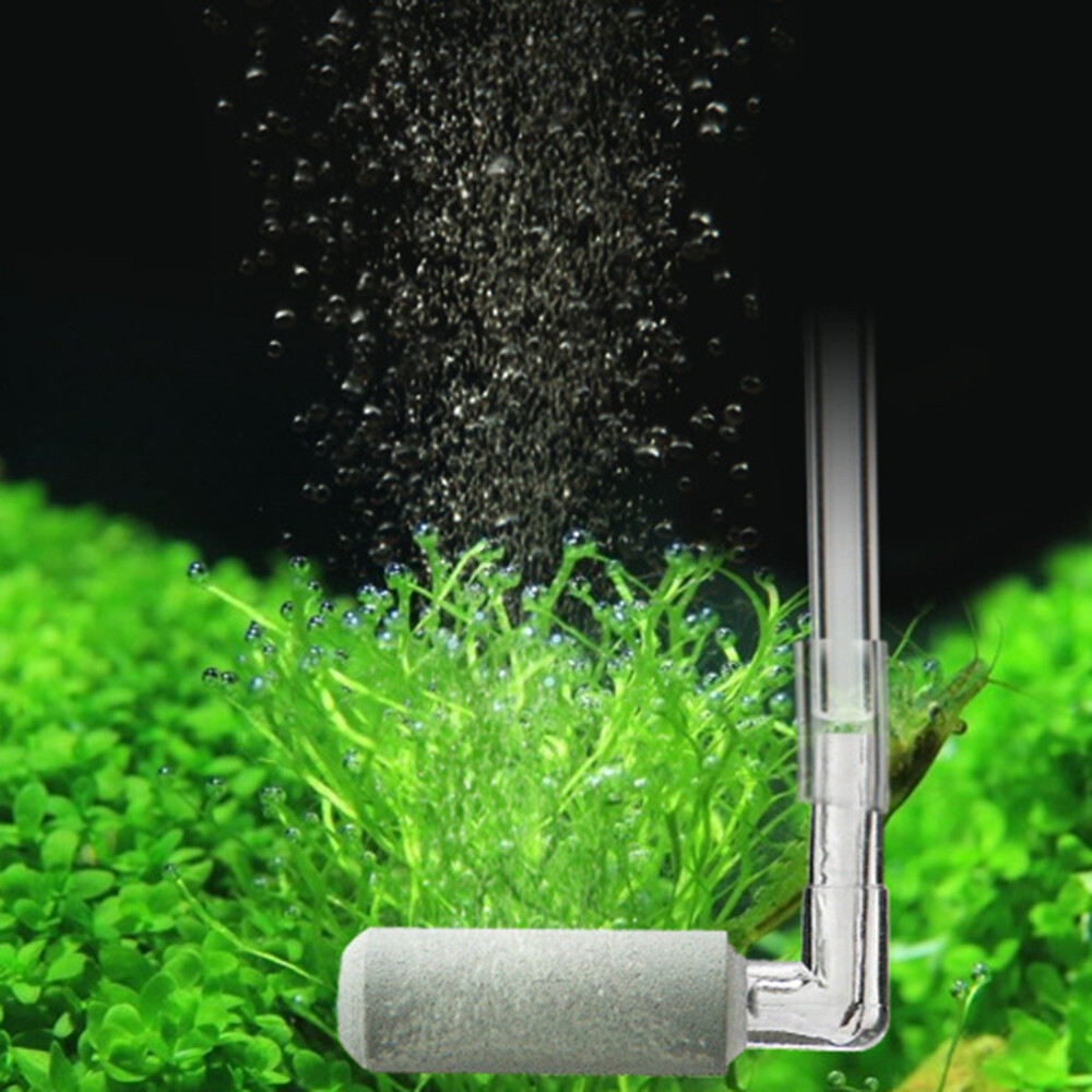 Co2 Regulator Aquarium Co2 Diffuser Aquarium Co2 Diffuser Plants