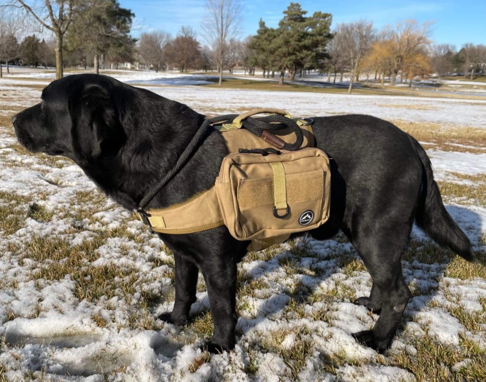 Large Dog Hiking Backpack - Hound Saddle Bag with Side Pockets Adjustable Strap