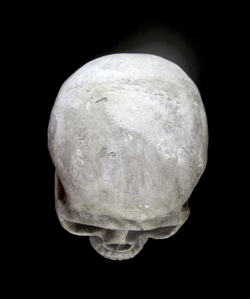 Halloween Styrofoam Skull with 3 Hook and Loop Fastener Strips