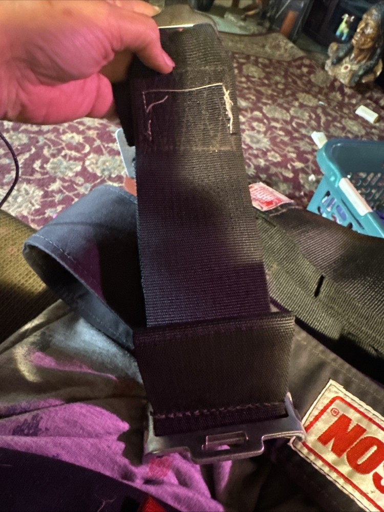 Simpson Cam Lock Harness