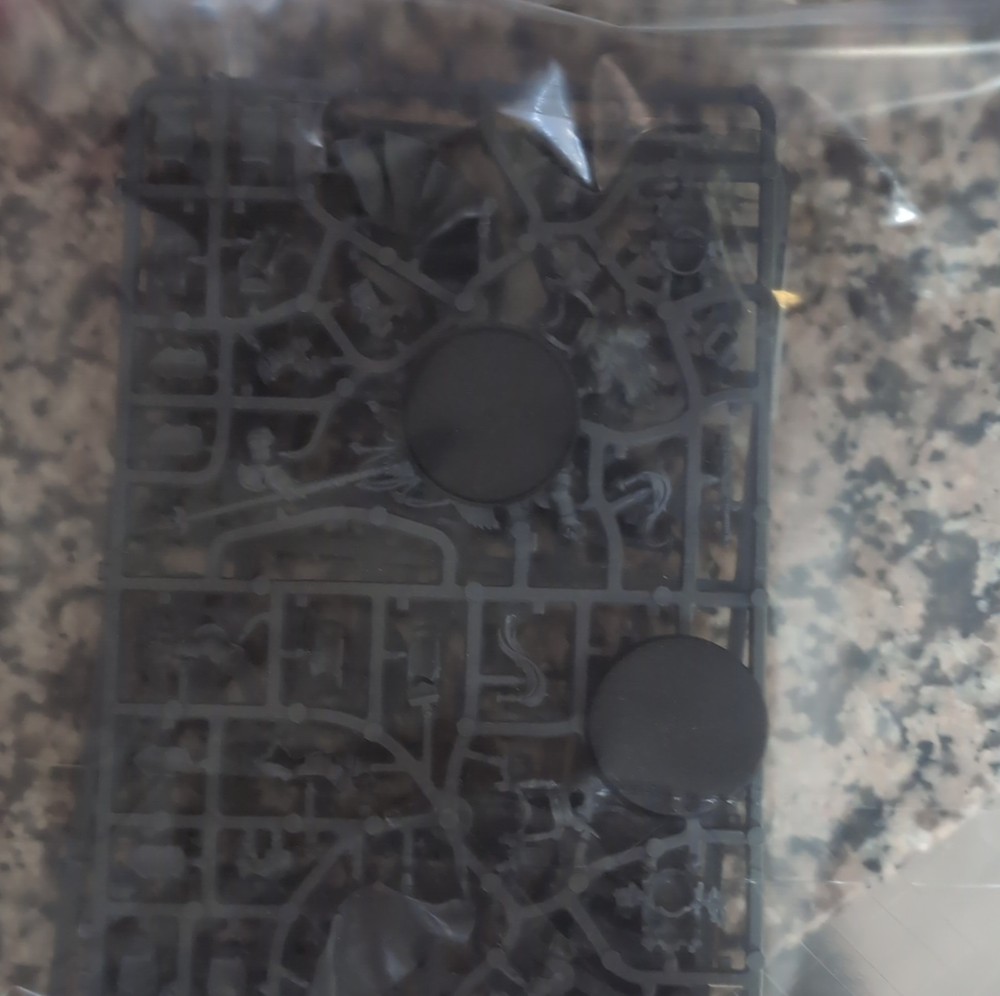 Games Workshop Warhammer 40K Allarus Custodes with Bases