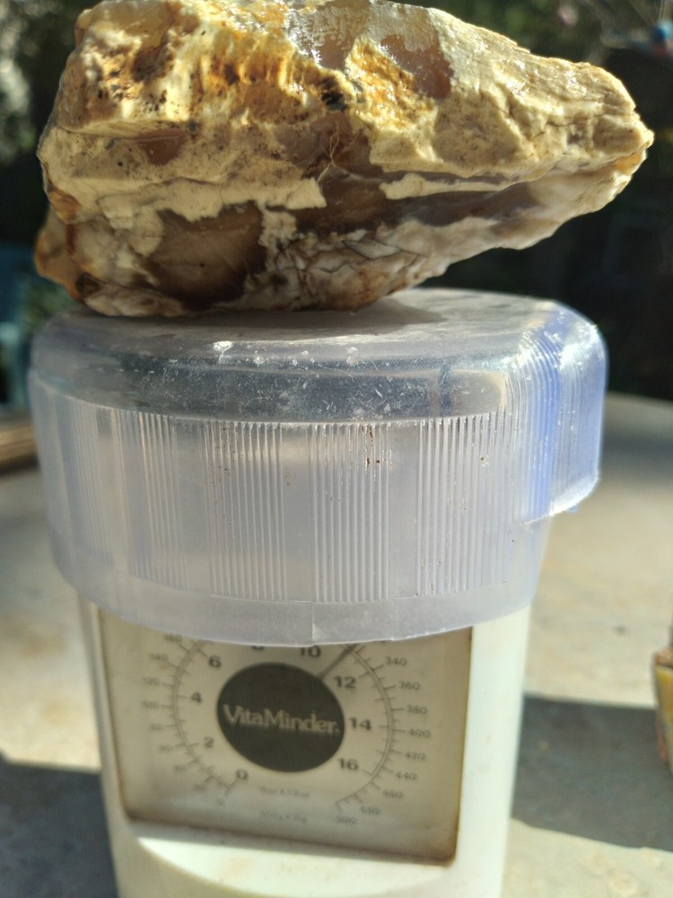 Agatized Wood (New Mexico), It Fluorescent Under UV Light