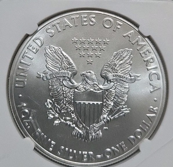 2014 American Silver Eagle MS-69 NGC