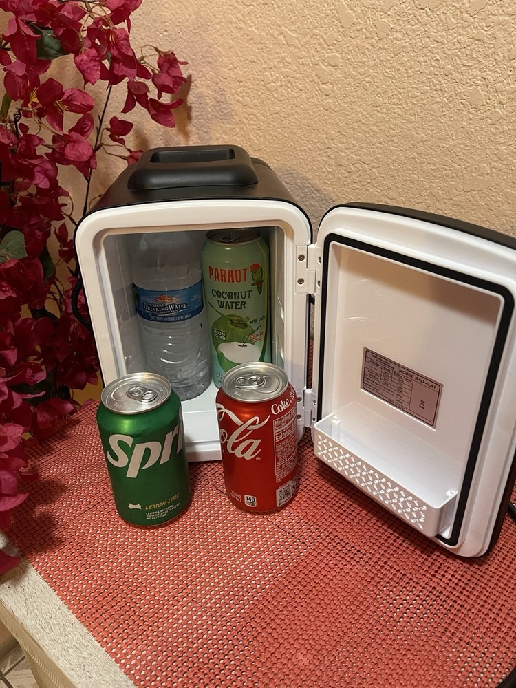 Cooling and Heating Mini Fridge