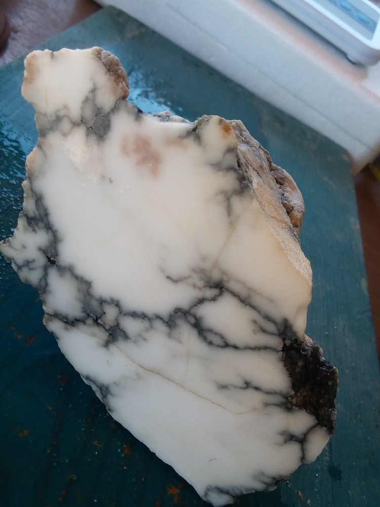 Lapidary Howlite Window Cut Spider Veining Collect Display