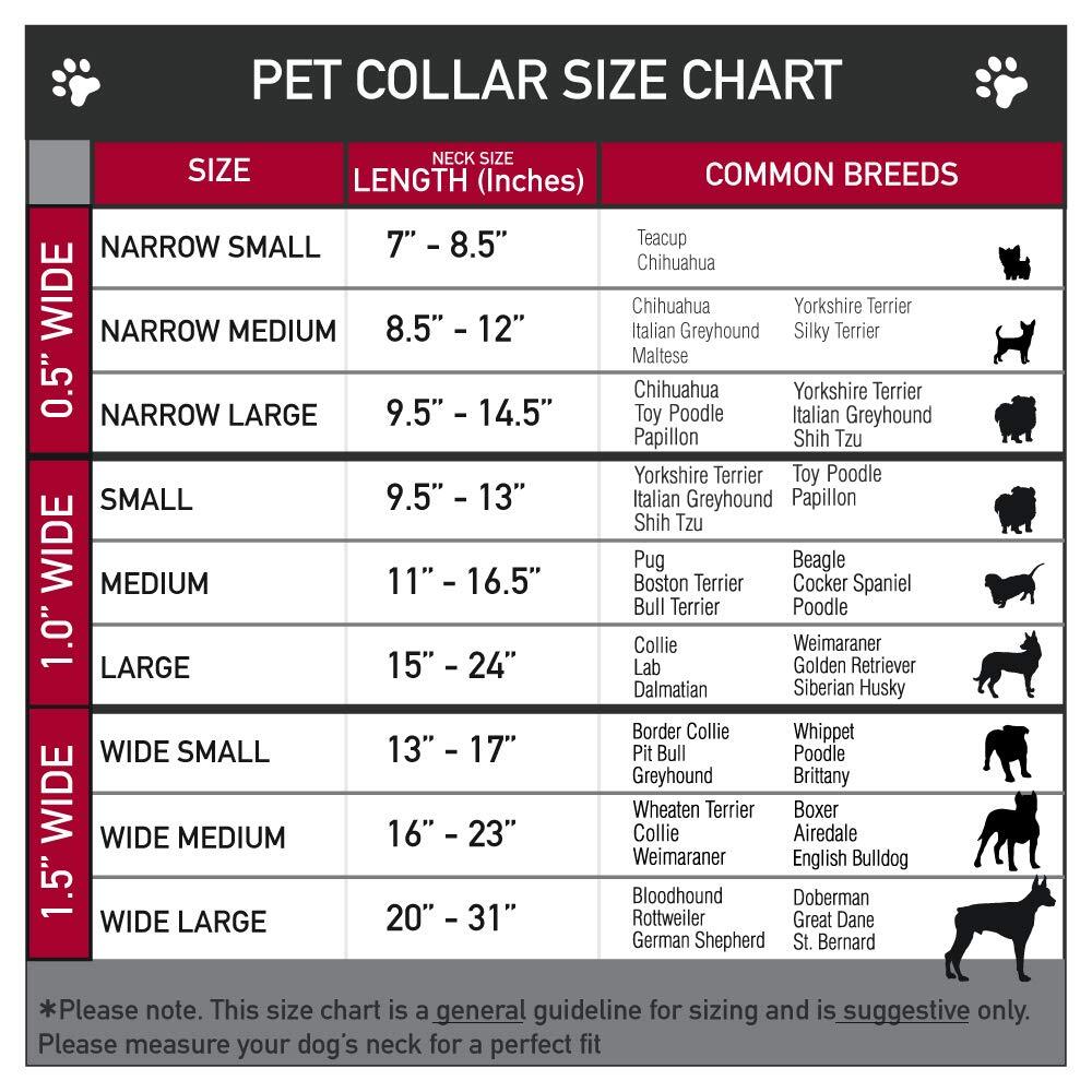 Plastic Clip Collar - Belle Poses/Enchanted Rose/Story Script Yellow/Pinks - ...