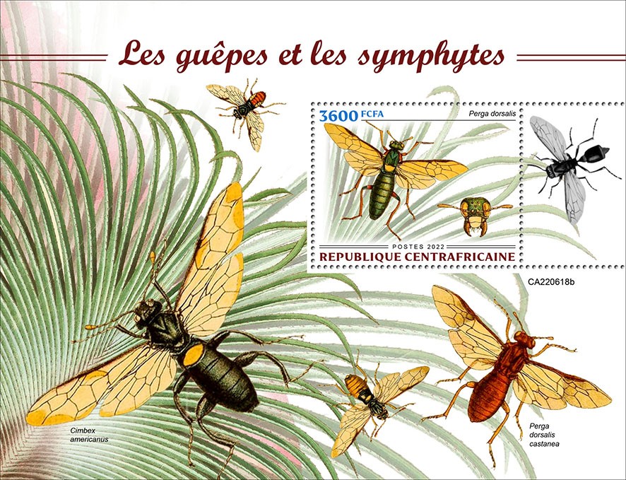Wasps and sawflies